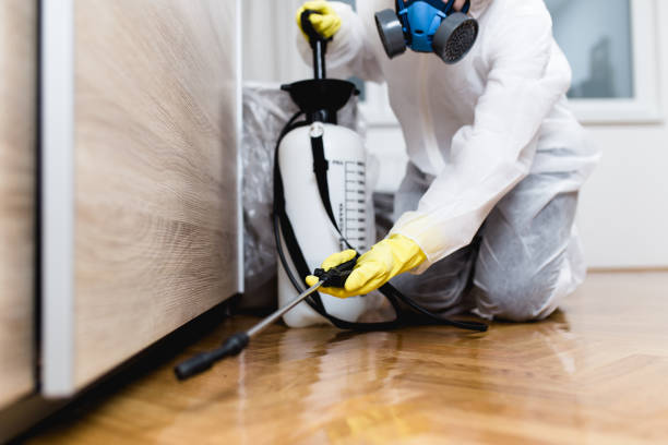 Best Bed Bug Extermination  in Webster, SD
