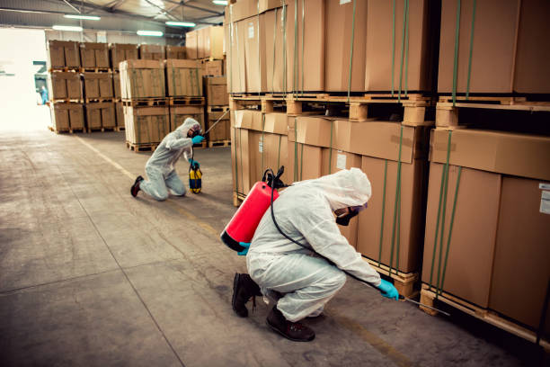 Best Wasp Removal Services  in Webster, SD