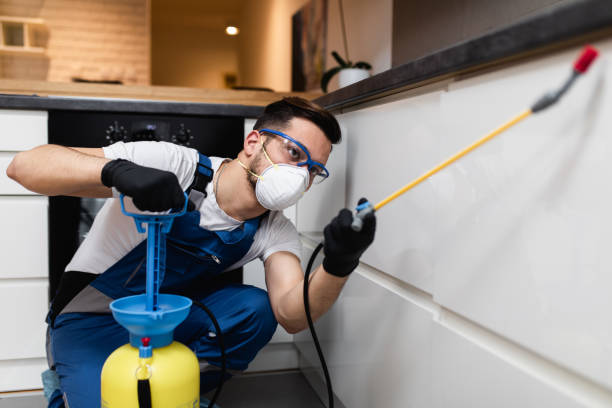 Best Pest Prevention Services  in Webster, SD