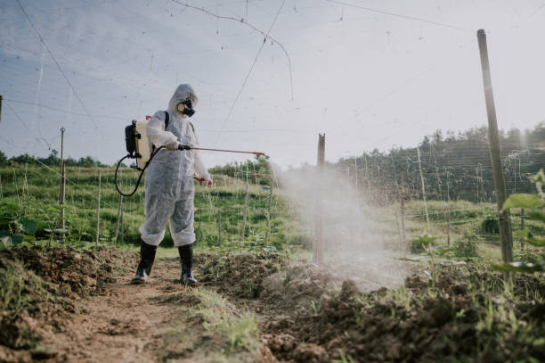Best Pest Removal Services  in Webster, SD