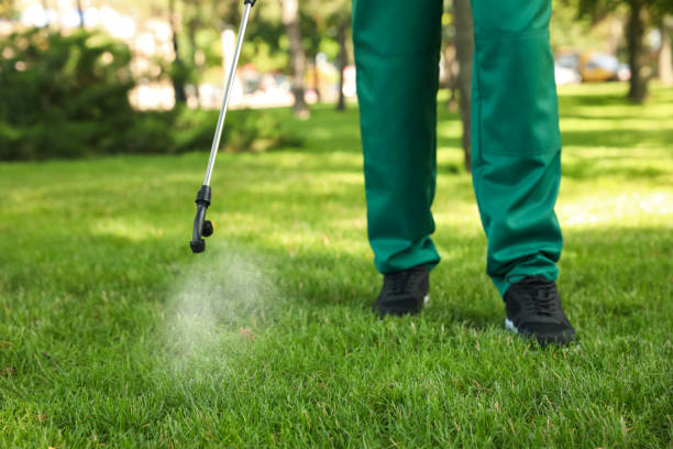 Best Affordable Pest Control Services  in Webster, SD