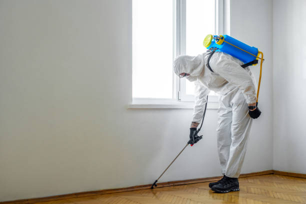 Best Termite Control Services  in Webster, SD
