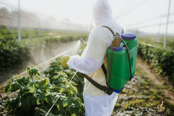 Best Exterminator Services  in Webster, SD